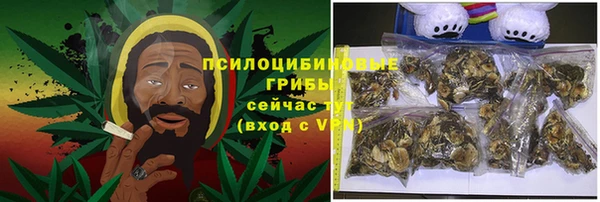 крисы Карталы