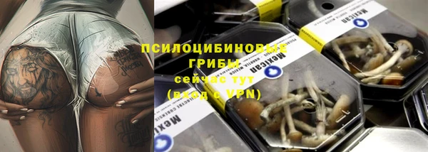 крисы Карталы