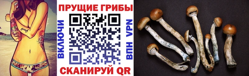 Псилоцибиновые грибы GOLDEN TEACHER  Купить где  Лысьва 
